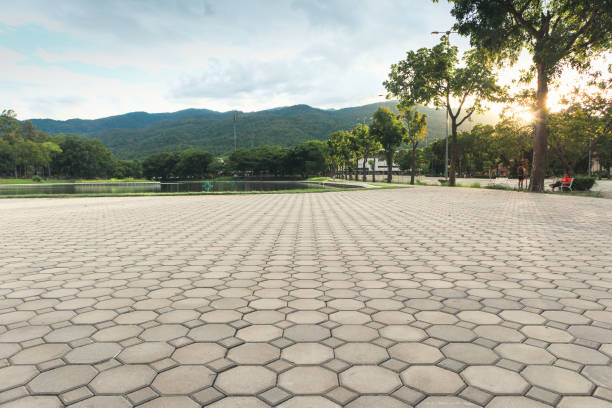 Best Custom Driveway Pavers  in Cross Plains, TN